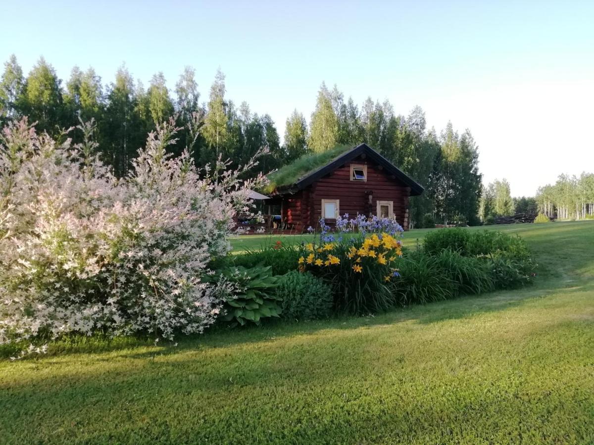 הוילה Nedsaja Paeikseranna Holiday Centre מראה חיצוני תמונה